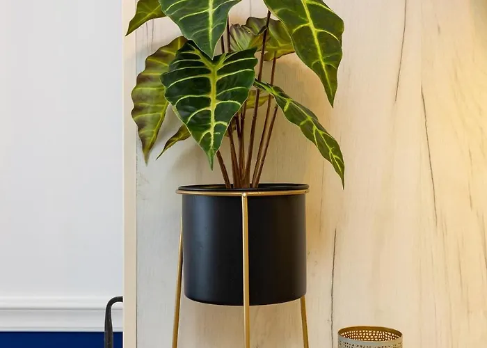 Daire Cozy River Escape In Free Parking